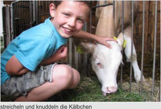 streicheln und knuddeln die Klbchen