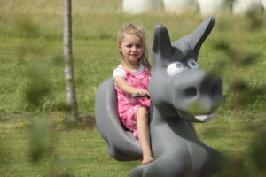 Wipptier-Esel-kinderfreude-Feriengast-Bauernhofurlaub