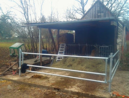 stallbau weiderinder